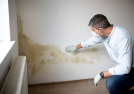 Bolor no apartamento - o que fazer quando não consegue pagar o aluguel?