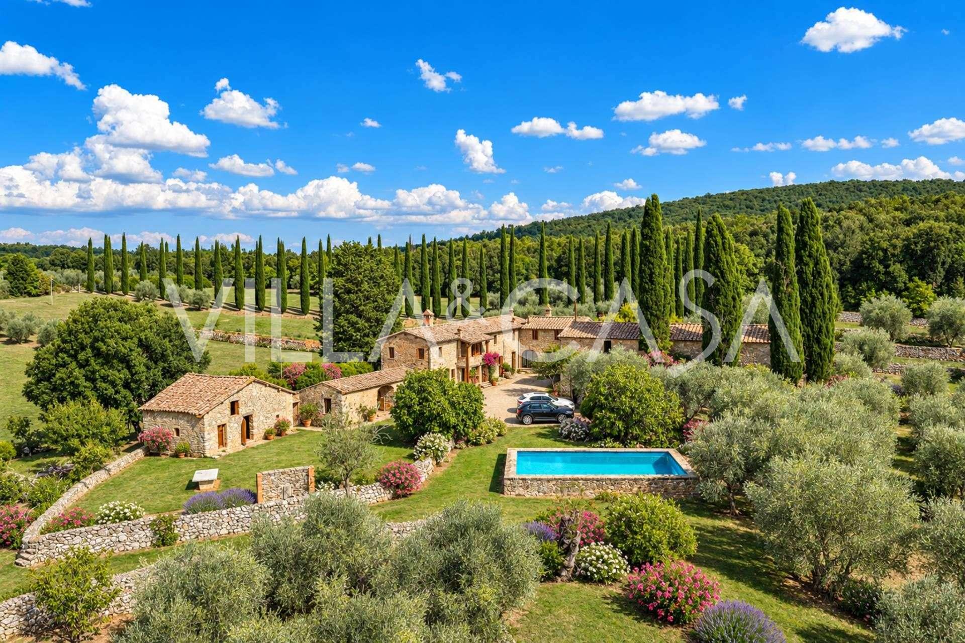 Terreno à venda com oliveiras perto de Siena, Toscana