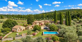 Terreno à venda com oliveiras perto de Siena, Toscana